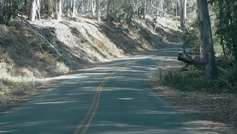 conducir en coche por un camino sinuoso a través de un bosque de árboles altos cerca de la costa del pacífico en un día soleado