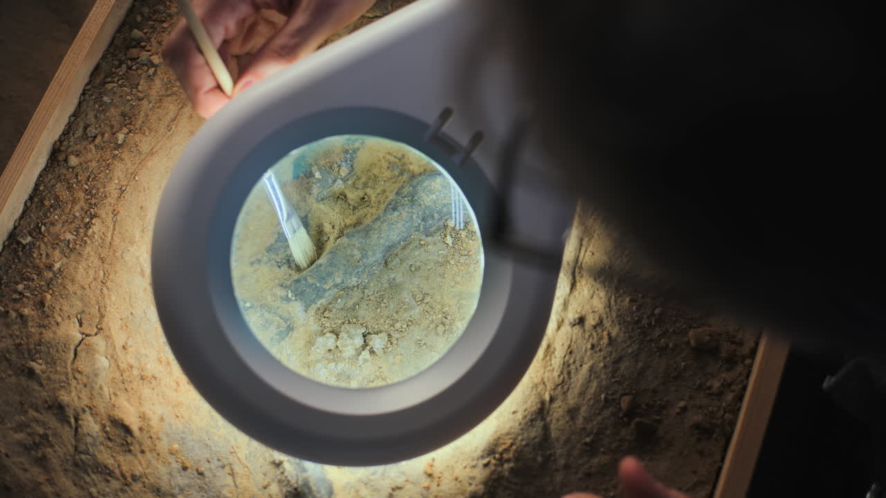 화석 유적 을 조사 하는 고고학자