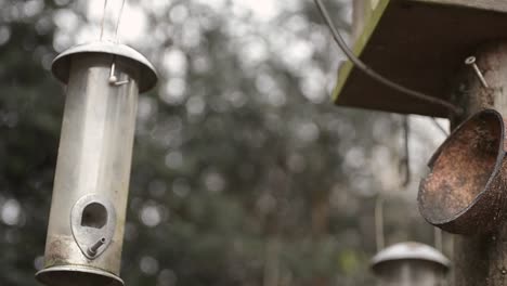 Bird-feeders-hang-from-bird-table-in-garden