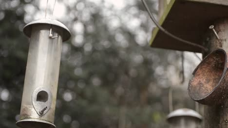 bird feeders hang from bird table in garden