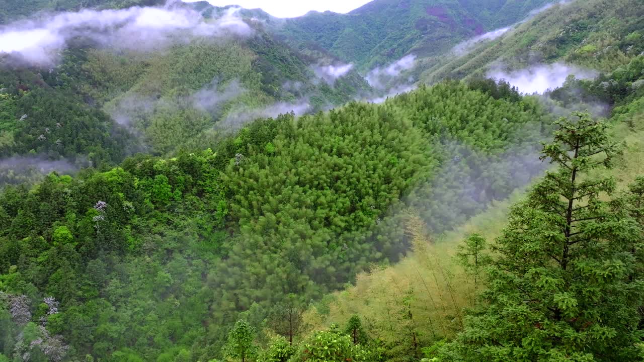 Aerial photography of high mountains shrouded in clouds and mist after rain, humid climate, and green forests shrouded in mist