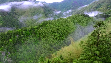 aerial photography of high mountains shrouded in clouds and mist after rain, humid climate, and green forests shrouded in mist
