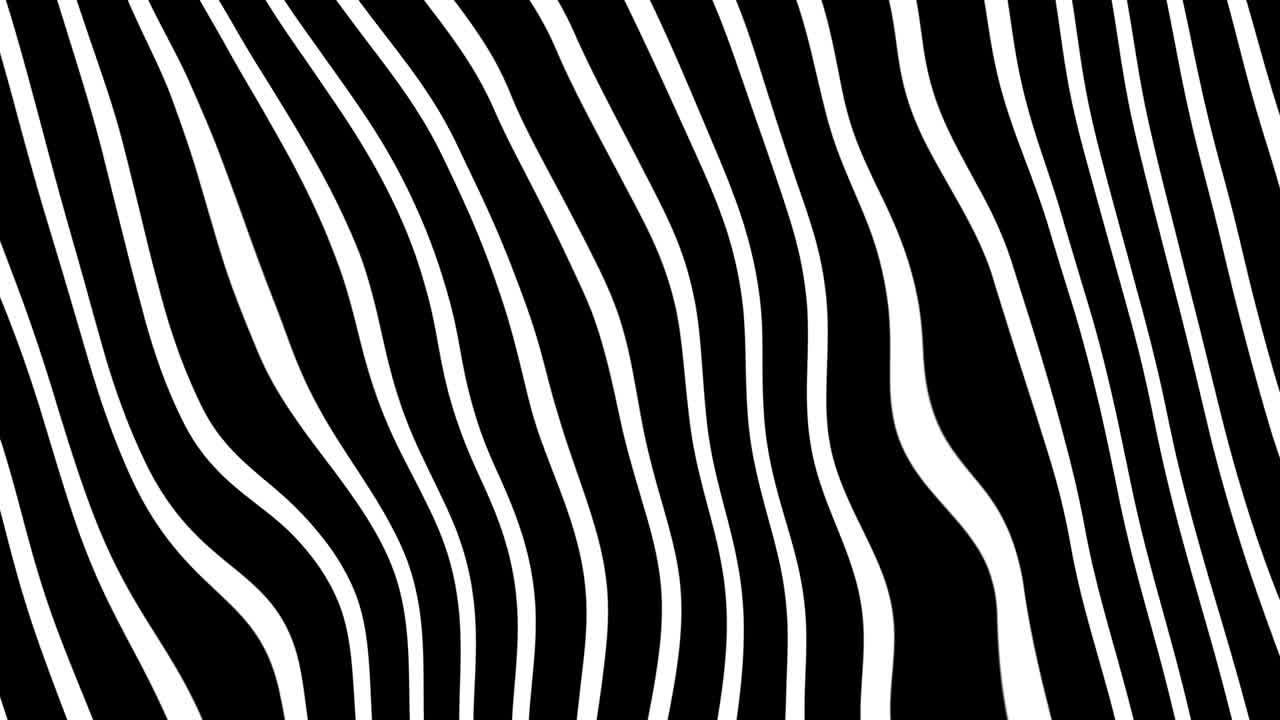 líneas blancas y negras