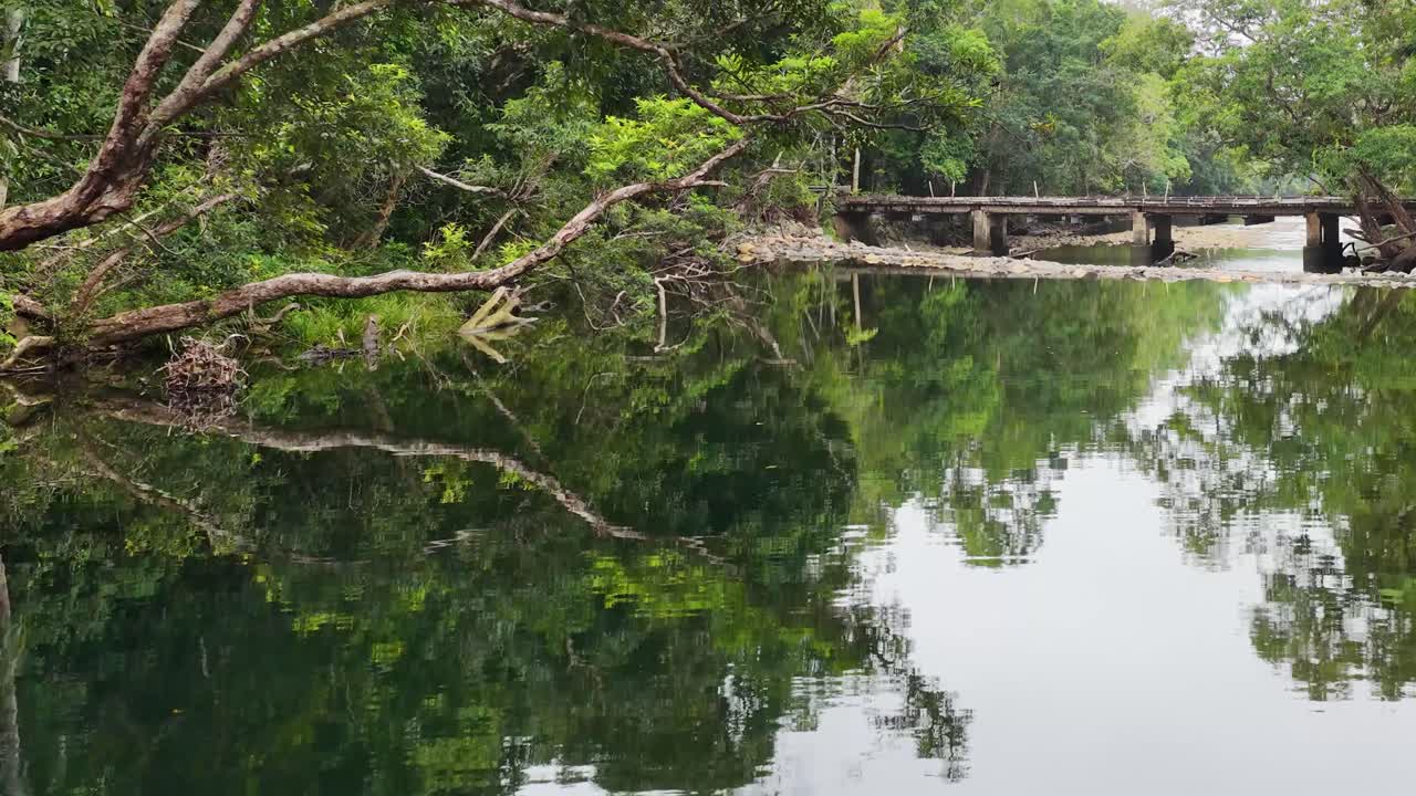 Drone footage captures a tranquil creek surrounded by lush rainforest in Port Douglas, Australia, with reflections on calm water