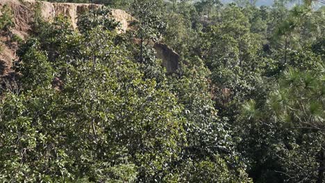 el hermoso cañón en pai, tailandia