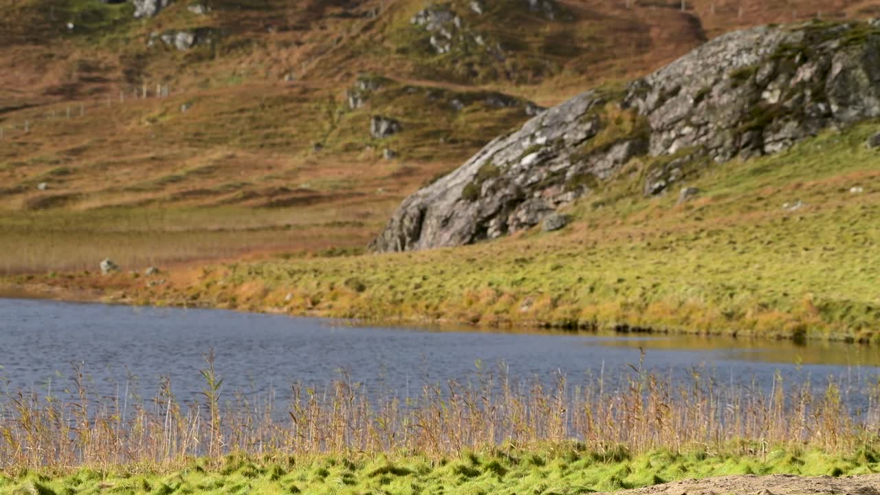 A cold freshwater lake in the beautiful countryside of Scotland