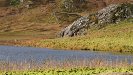 un lago de agua dulce fría en el hermoso campo de escocia