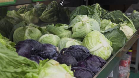 tracking shot of lettuce and cabbage and celery at supermarket