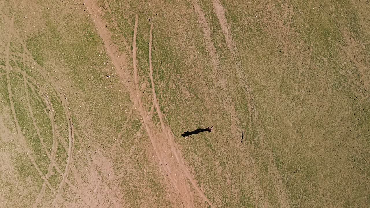 Persona che cammina in un campo secco - Vista aerea