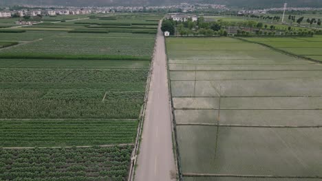 Drone-footage-of-Paddy-Fields-and-an-empty-road-used-by-farmers-to-access-their-fields-in-Dali,-Yunnan-Province,-China