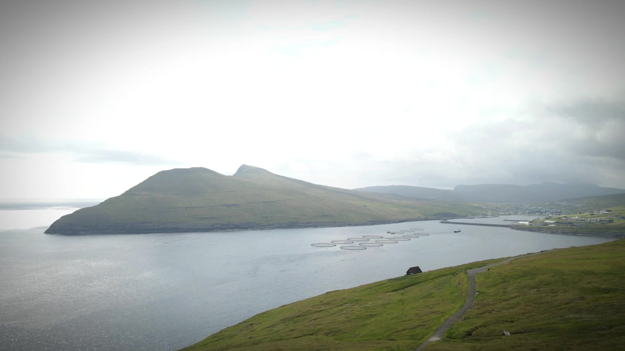 Gabbie per l'allevamento del salmone galleggiano vicino alla costa di un villaggio costiero delle Isole Faroe, mostrando le pratiche di acquacoltura in un paesaggio drammatico di verdi colline e cieli nebbiosi, filmato con drone.
