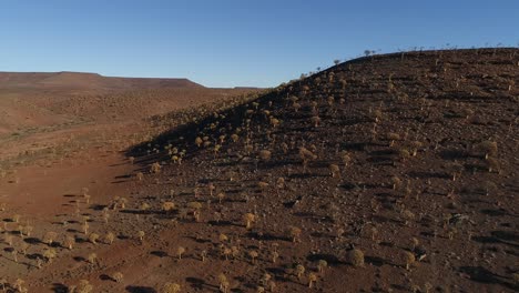 Stunning-aerial-views-over-the-old-Quiver-tree-forest-outside-Nieuwoudtville-in-the-Northern-Cape-of-South-Africa