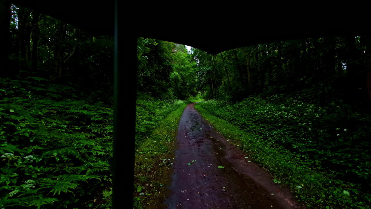 POV Dark Moody Walk with Umbrella on Wet Dirt Trail Through Forest With Lush Vegetation in Overcast Weather