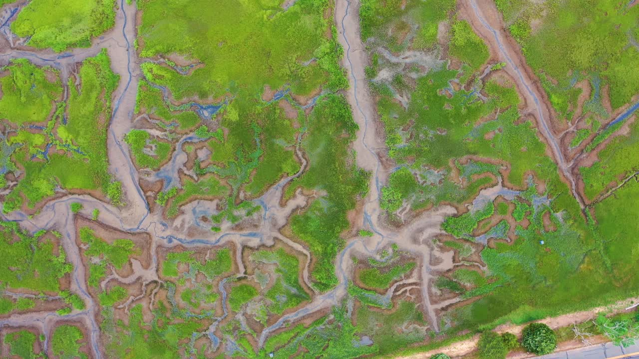 Bird’s eye aerial perspective shows intricate marsh patterns of green vegetation and sandy flats, with tidal channels cutting through the wetlands like a living natural design