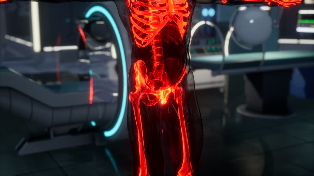 실험실 에서 인간 골격  ⁇  스캔 검사