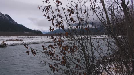 Toma-Deslizante-De-árboles-Y-Río-En-Alaska