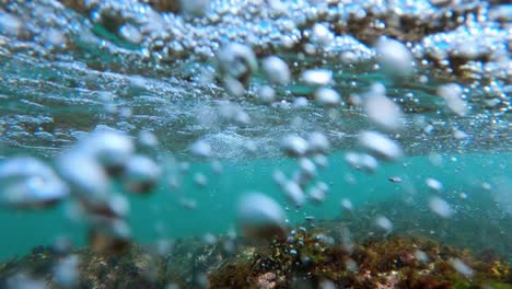 tomar bajo el agua con vista a los arrecifes, hermosa fauna marina, agua azul turquesa