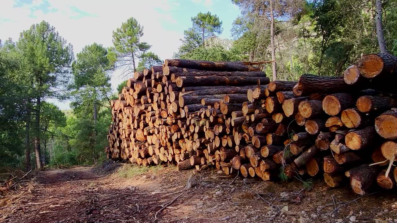 Pile of wooden logs. Wooden log loading. Forestry work in the forest. Sierra de Cazorla. Spain