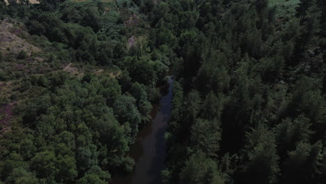 Río-Que-Fluye-Chambre-Au-Loup-Valle,-Bosque-Brocéliande,-Bretaña-En-Francia