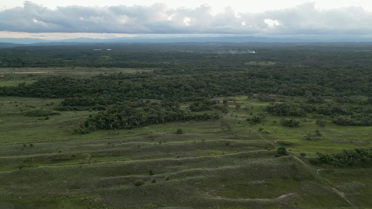 Flyover grassy sand dunes, green forest in central Bolivian landscape
