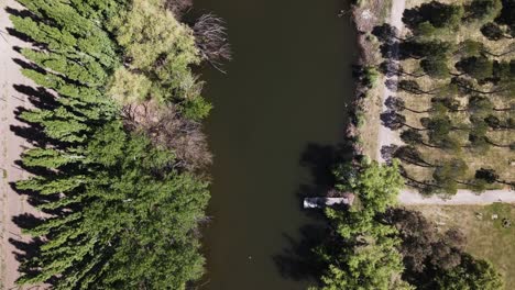 View-down-from-the-drone-of-the-Black-river-flowing-through-summer-nature-formed-by-trees-and-green-vegetation,-Argentina-Patagonia