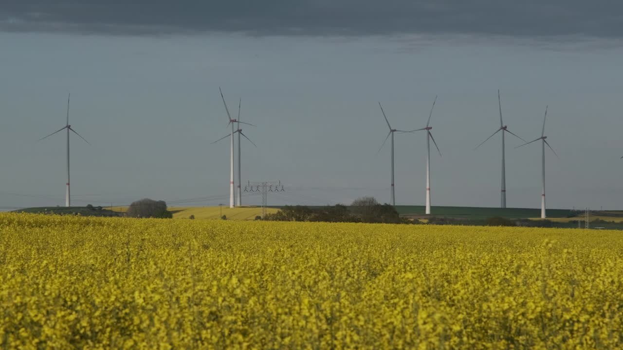 Wind turbines in the middle of rapeseed field in bloom generating renewable electric energy, protect the environment. Deutchland.