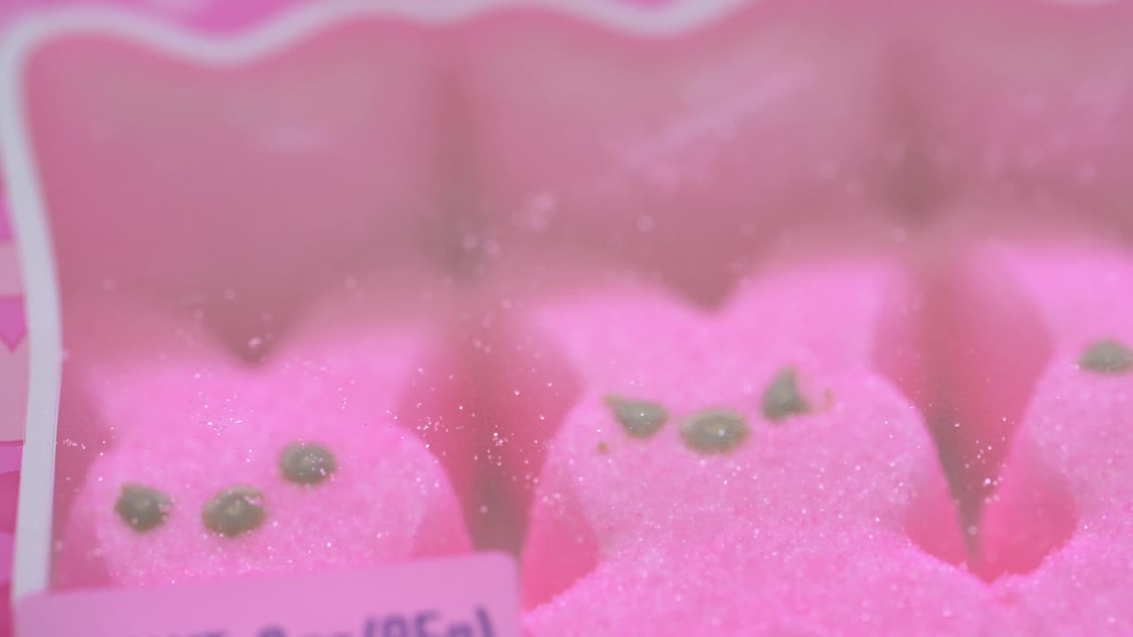 뜨거운 분홍색 토끼의 가까운 팬 마쉬멜로 트리트