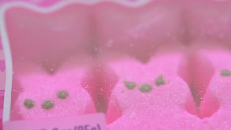 cerca de la sartén de conejitos rosados calientes golosinas de malvavisco