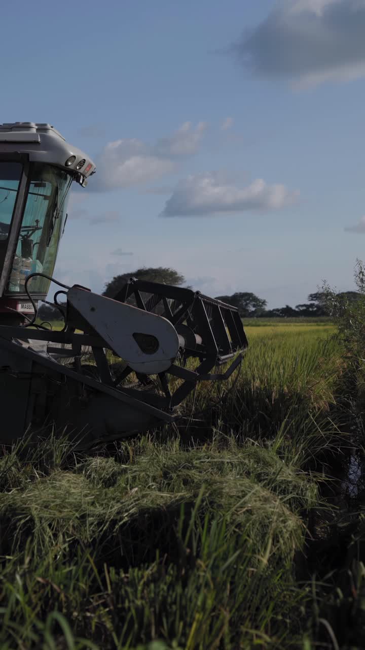 Slow-motion shot of a harvesting machine picking up grains of rice