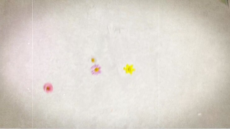 Emotional Watercolor Slideshow