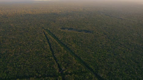 Vista-Aérea-Alta-De-La-Densa-Jungla-De-México-A-La-Luz-De-La-Mañana