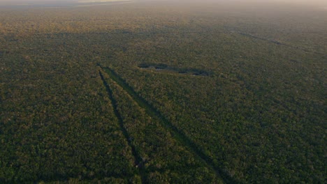 vista aérea alta de la densa jungla de méxico a la luz de la mañana