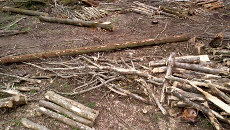 Aerial-flyover-wood-cleared-forest-landscape-with-logs-during-sunny-day