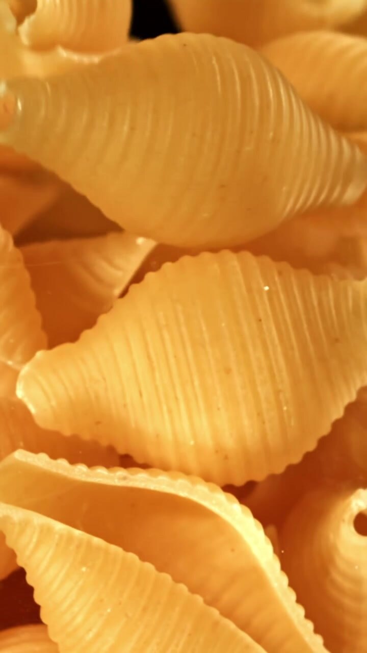 Uncooked Shell Pasta Falling Against a Dark Background