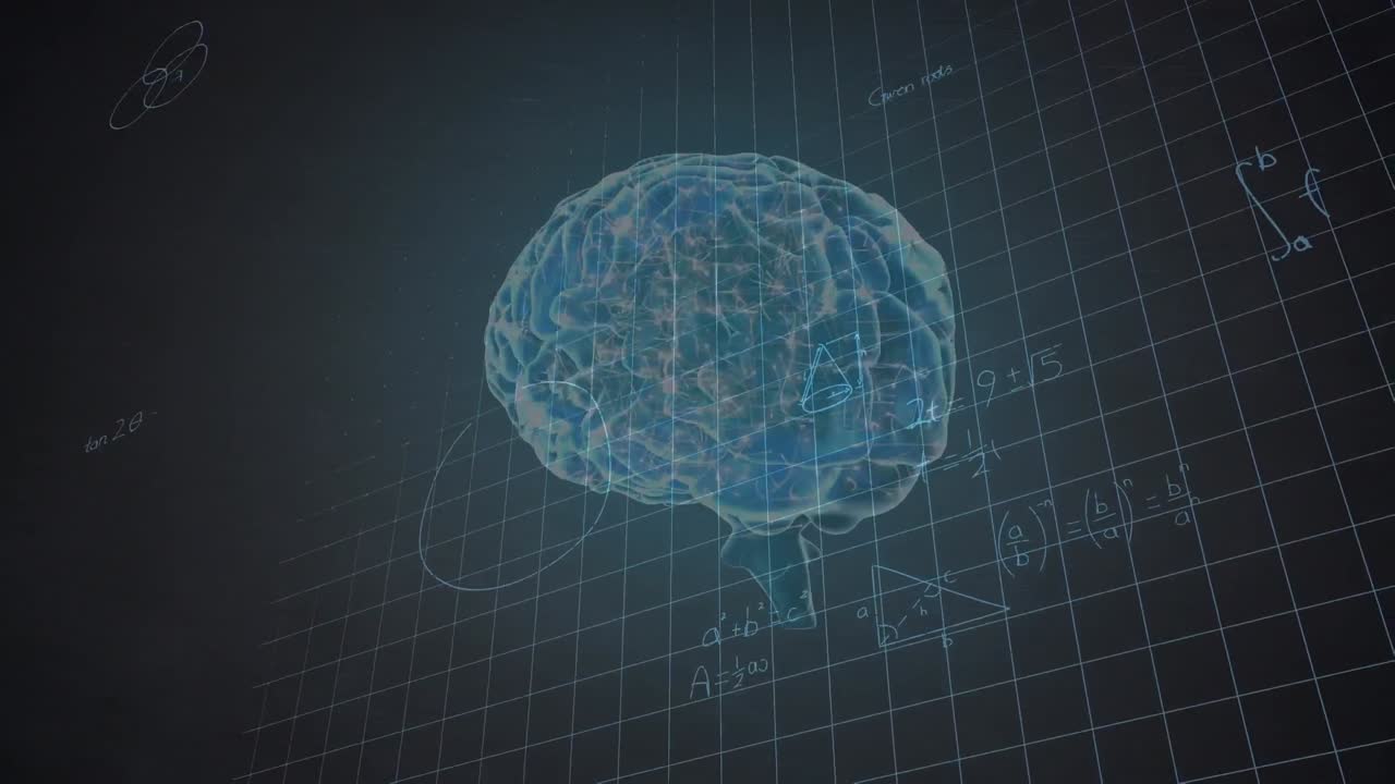 Animation of human brain and mathematical data processing