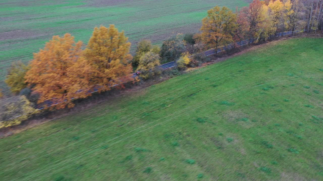 одинокий автомобиль на проселочной дороге с деревьями в цветах осени