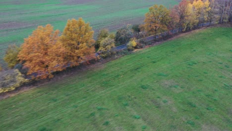 Einsames-Auto-Auf-Einer-Landstraße-Mit-Bäumen-In-Herbstfarben