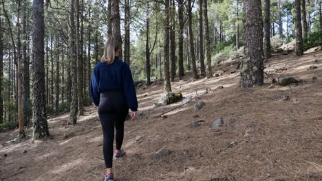 young-woman-walks-on-path-surrounded-by-pine-trees-on-a-sunny-day