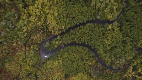 Auto-Fährt-Alpenschleife-Im-American-Fork-Canyon-Im-Herbst