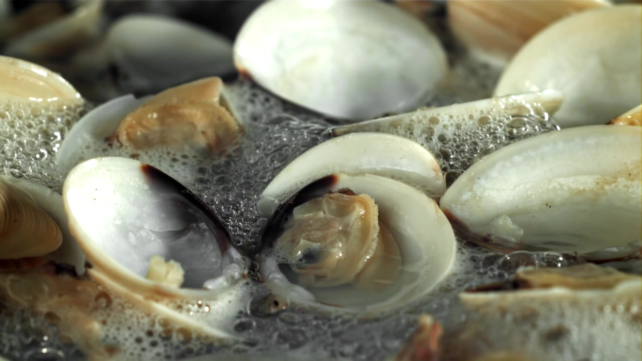 Fresh Clams Steaming and Opening in Boiling Water