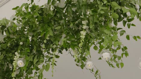 candles hanging from a leaf guide