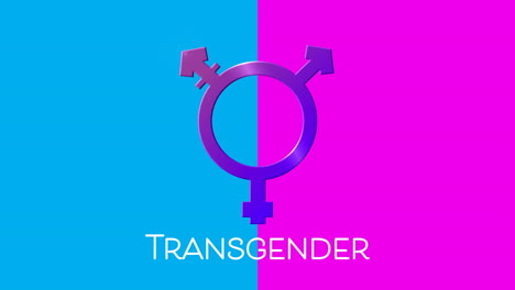 transgender text and symbol on pink and blue background