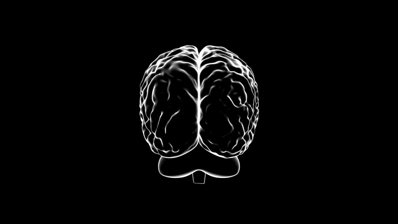 cerebro humano en 3d, bucle sin costuras