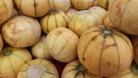 muskmelon sold in the supermarket stock footage video