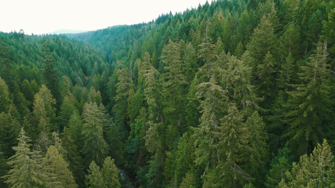 aerial shot going backward revealing the kinsol trestle bridge over the Koksilah River near Victoria on Vancouver Island, British Columbia, Canada