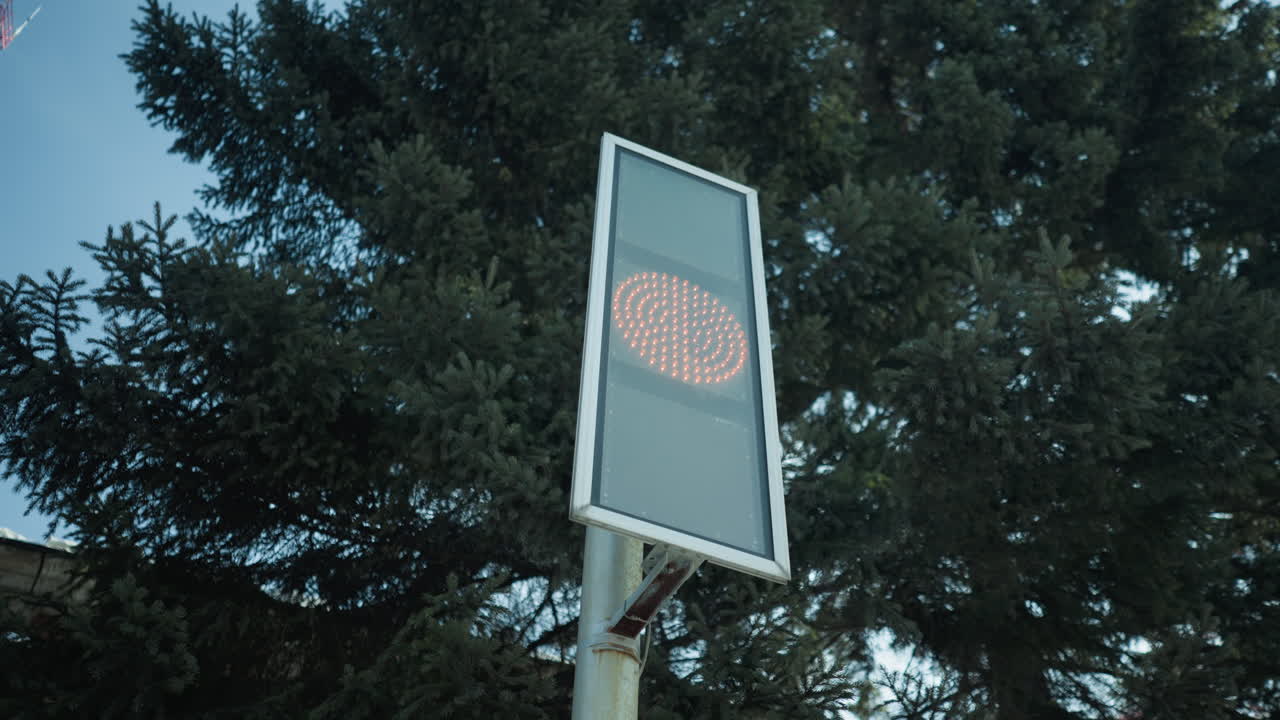 low angle pole signal shifts green to red before winter spruce, led dots pulse under blue sky, quiet transit stop vibe, cold air visible, subtle upward move frames urban background