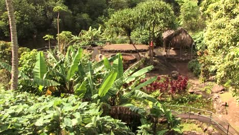 tourists visiting archeological site in the iao valley state park, hawaii