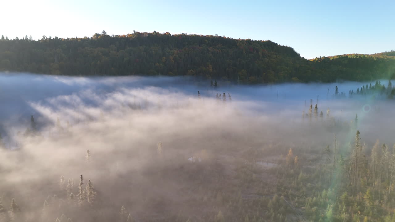 Aerial view of autumn forest and mountains in vivid colors with morning fog in Mauricie, Quebec, Canada. Soft sunlight illuminates the colorful foliage over peaceful wilderness