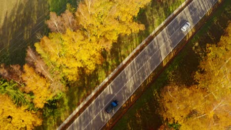 Draufsicht-Auf-Die-Straße-Mit-Fahrenden-Autos-Zwischen-Herbstlichen-Waldbäumen---Drohnenaufnahme