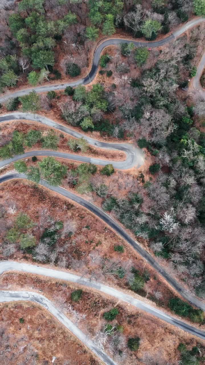 vista aérea de una carretera sinuosa a través de un bosque